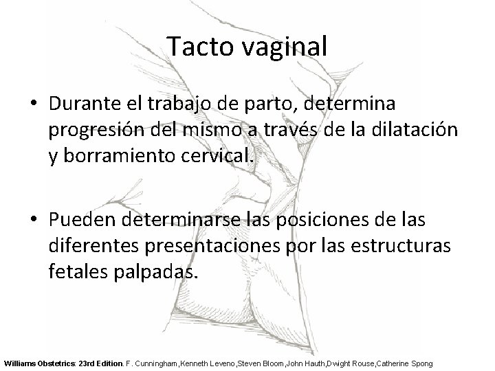 Tacto vaginal • Durante el trabajo de parto, determina progresión del mismo a través