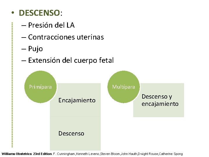  • DESCENSO: – Presión del LA – Contracciones uterinas – Pujo – Extensión