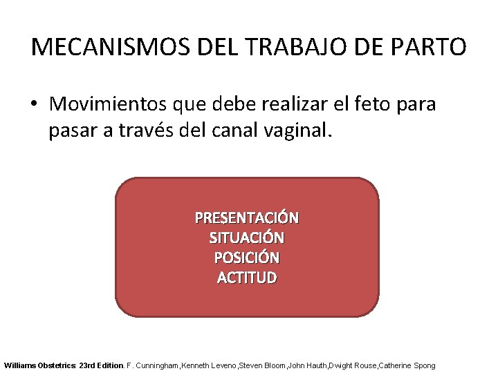 MECANISMOS DEL TRABAJO DE PARTO • Movimientos que debe realizar el feto para pasar