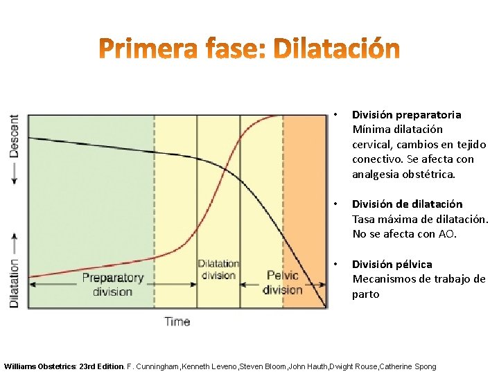  • División preparatoria Mínima dilatación cervical, cambios en tejido conectivo. Se afecta con