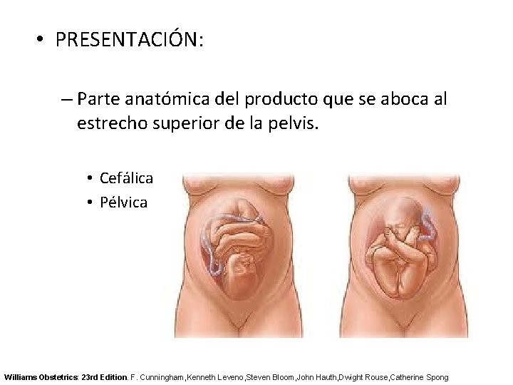 • PRESENTACIÓN: – Parte anatómica del producto que se aboca al estrecho superior