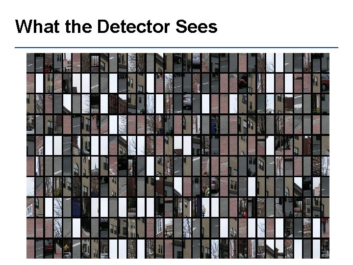 What the Detector Sees 