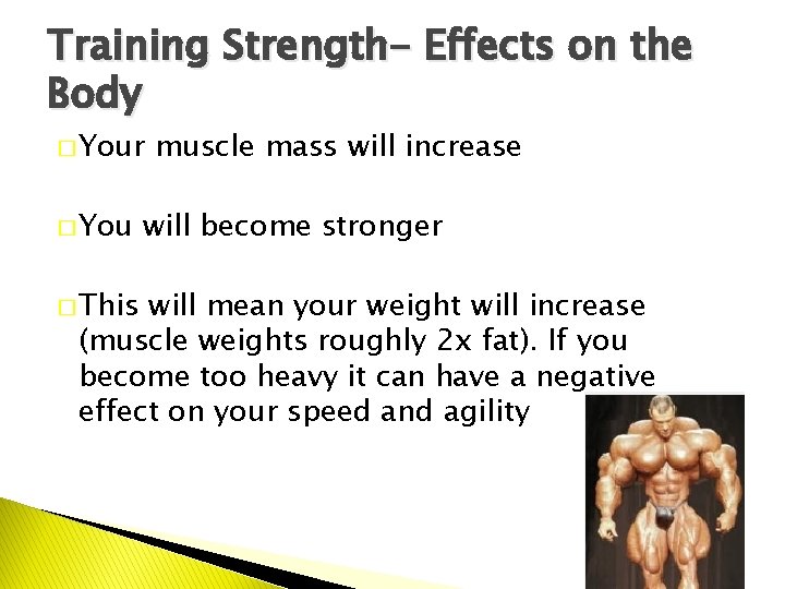 Training Strength- Effects on the Body � Your � You � This muscle mass