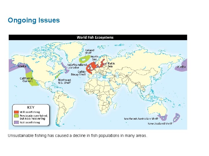 Ongoing Issues Unsustainable fishing has caused a decline in fish populations in many areas. Ongoing Issues Unsustainable fishing has caused a decline in fish populations in many areas.