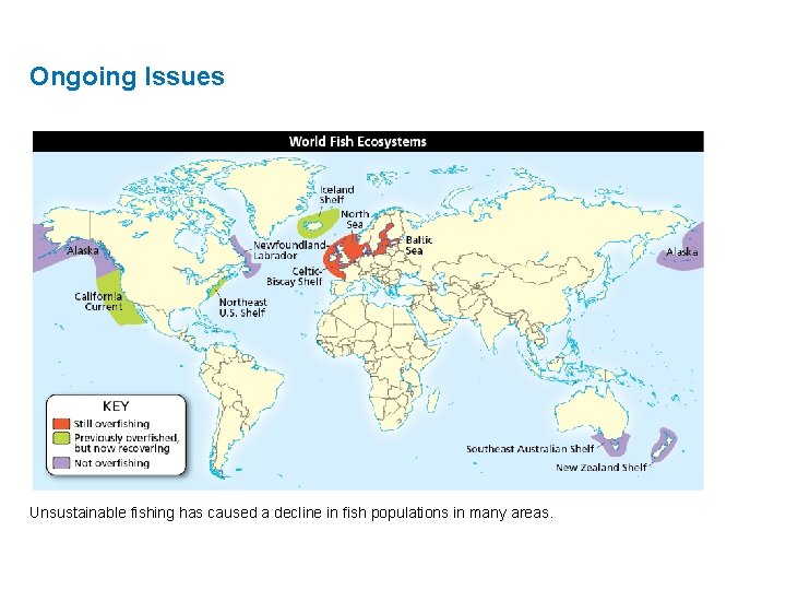 Ongoing Issues Unsustainable fishing has caused a decline in fish populations in many areas.