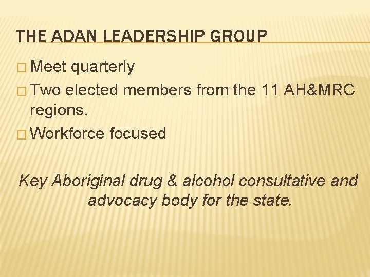 THE ADAN LEADERSHIP GROUP � Meet quarterly � Two elected members from the 11