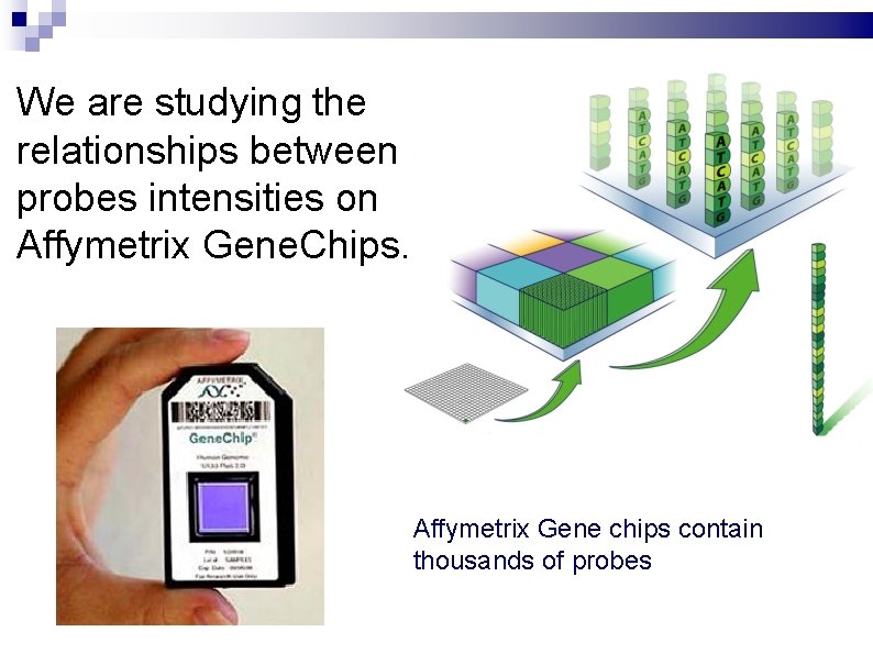 We are studying the relationships between probes intensities on Affymetrix Gene. Chips. Affymetrix Gene