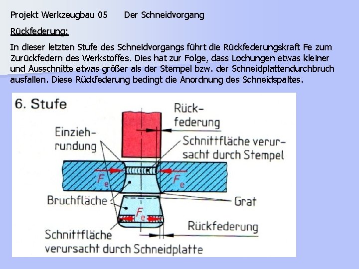 Projekt Werkzeugbau 05 Der Schneidvorgang Rückfederung: In dieser letzten Stufe des Schneidvorgangs führt die