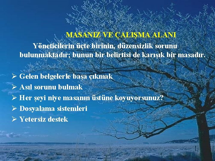  MASANIZ VE ÇALIŞMA ALANI Yöneticilerin üçte birinin, düzensizlik sorunu bulunmaktadır; bunun bir belirtisi