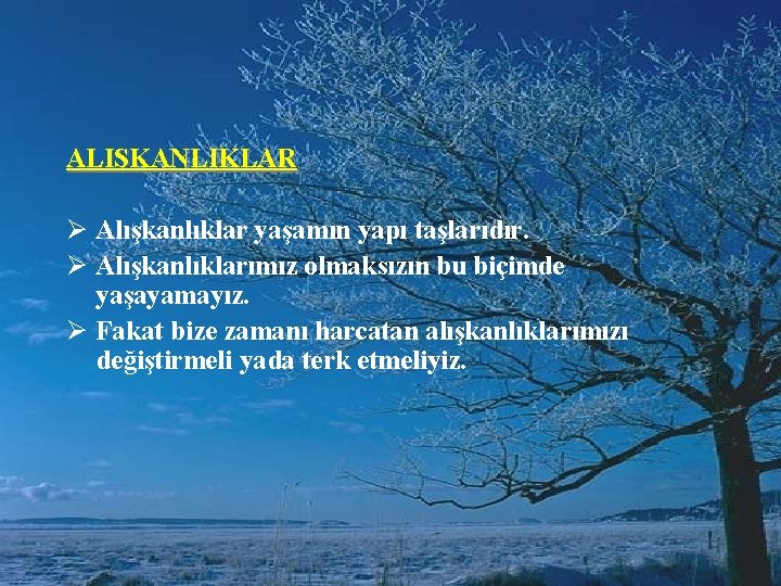 ALIŞKANLIKLAR Ø Alışkanlıklar yaşamın yapı taşlarıdır. Ø Alışkanlıklarımız olmaksızın bu biçimde yaşayamayız. Ø Fakat