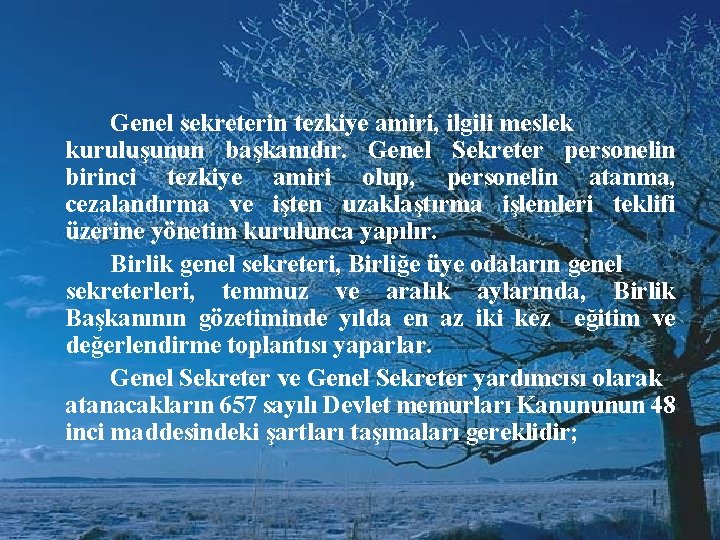 Genel sekreterin tezkiye amiri, ilgili meslek kuruluşunun başkanıdır. Genel Sekreter personelin birinci tezkiye amiri