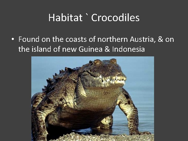 Habitat ` Crocodiles • Found on the coasts of northern Austria, & on the