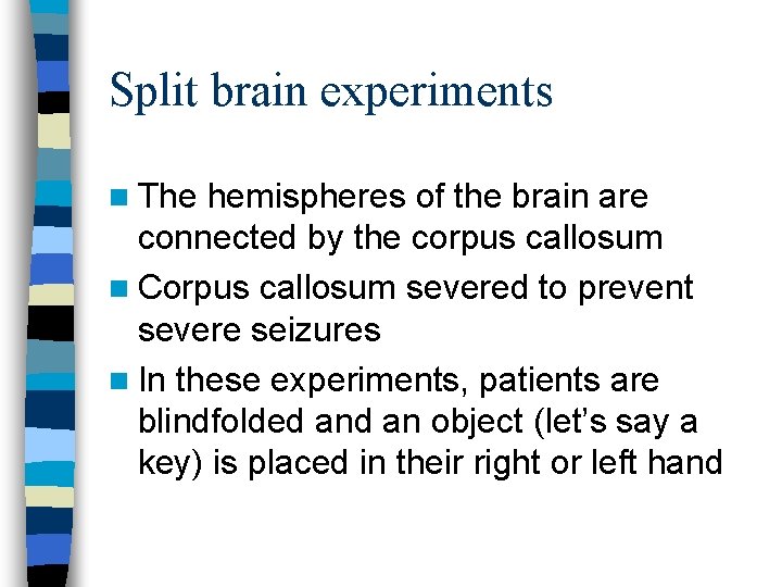 Split brain experiments n The hemispheres of the brain are connected by the corpus
