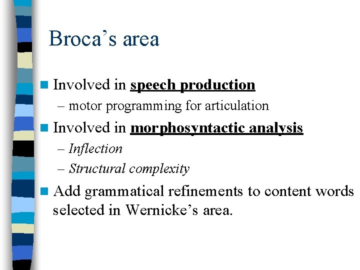 Broca’s area n Involved in speech production – motor programming for articulation n Involved