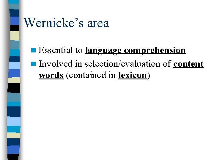 Wernicke’s area n Essential to language comprehension n Involved in selection/evaluation of content words