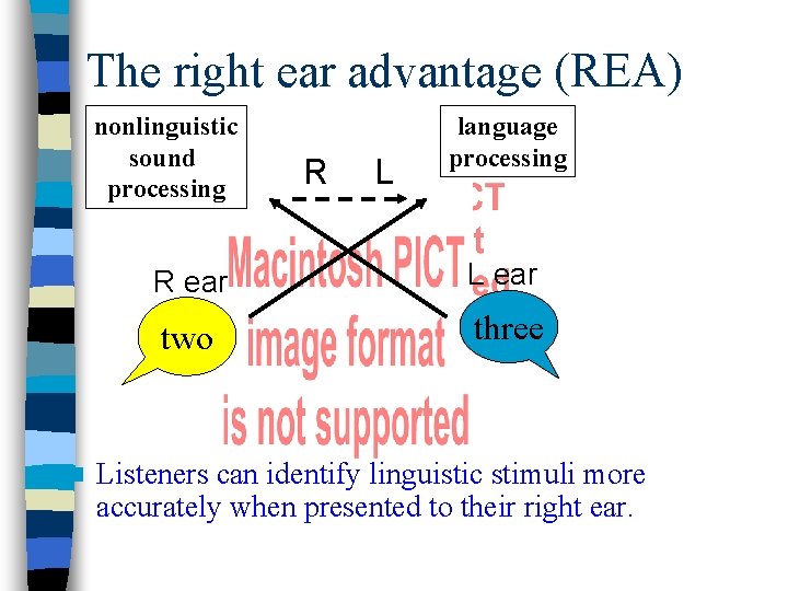 The right ear advantage (REA) nonlinguistic sound processing n R L language processing R