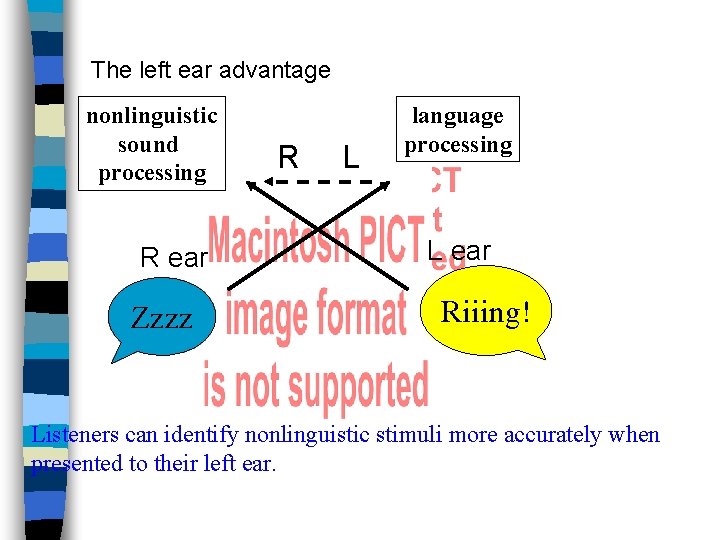 The left ear advantage nonlinguistic sound processing R ear Zzzz R L language processing