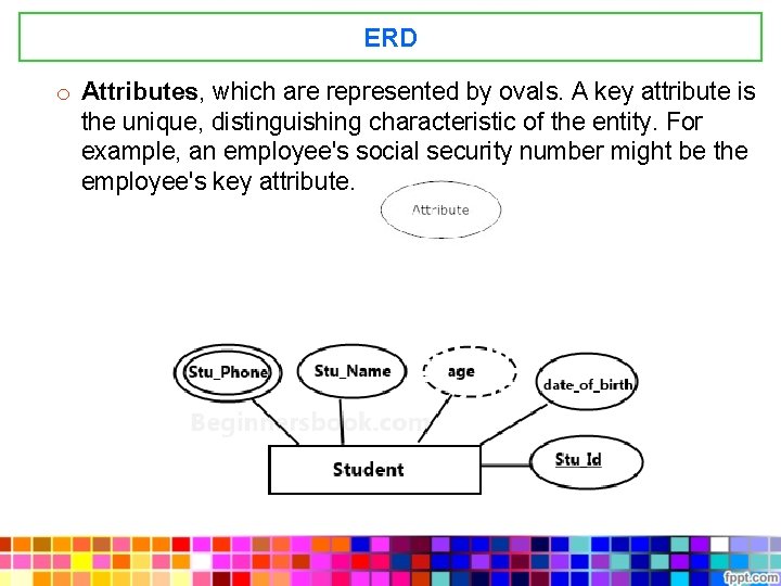 ERD o Attributes, which are represented by ovals. A key attribute is the unique,