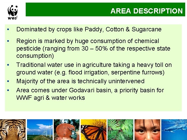 DESCRIPTION Implementation. AREA Approach • Dominated by crops like Paddy, Cotton & Sugarcane •