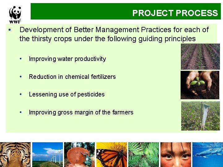 Implementation. PROJECT Approach PROCESS • Development of Better Management Practices for each of the