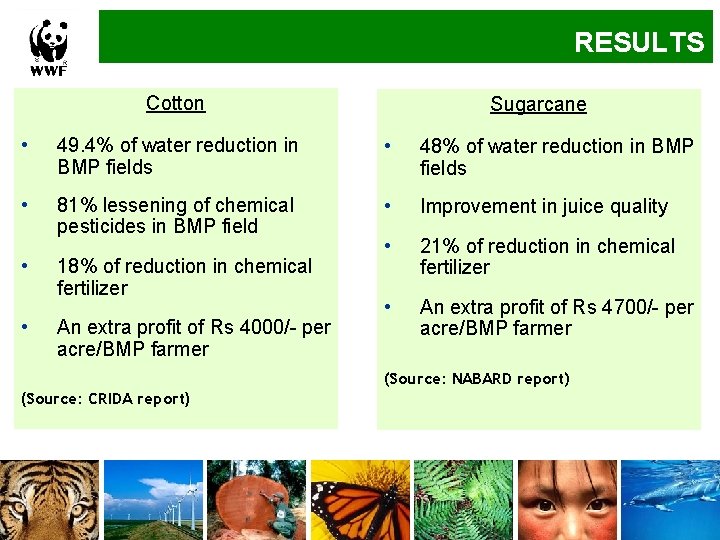 RESULTS Cotton Sugarcane • 49. 4% of water reduction in BMP fields • 48%