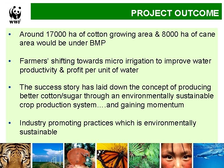 Implementation. PROJECT Approach. OUTCOME • Around 17000 ha of cotton growing area & 8000