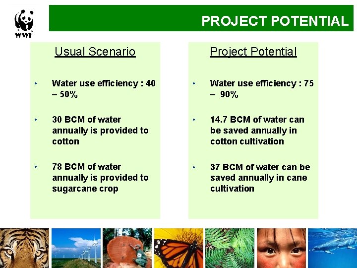 PROJECT POTENTIAL Implementation Approach Usual Scenario Project Potential • Water use efficiency : 40