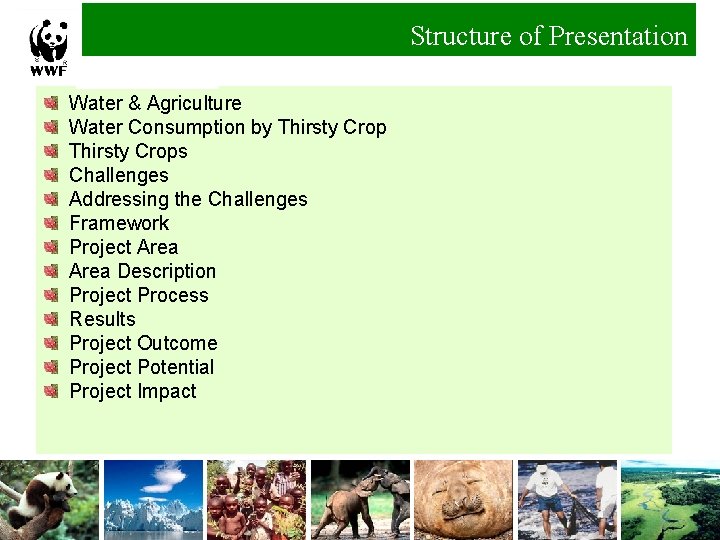 Structure of Presentation Water & Agriculture Water Consumption by Thirsty Crops Challenges Addressing the