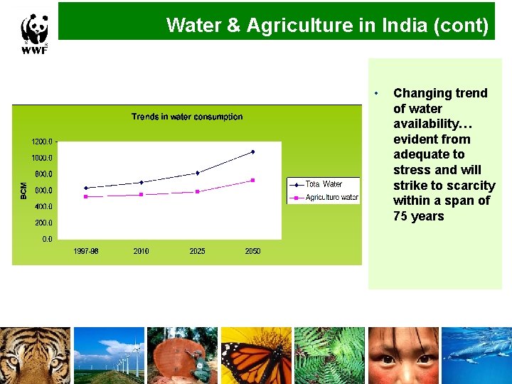 Water & Agriculture in India (cont) • Changing trend of water availability… evident from