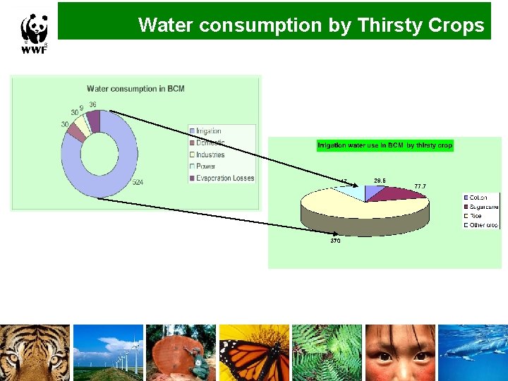 Water consumption by Thirsty Crops 