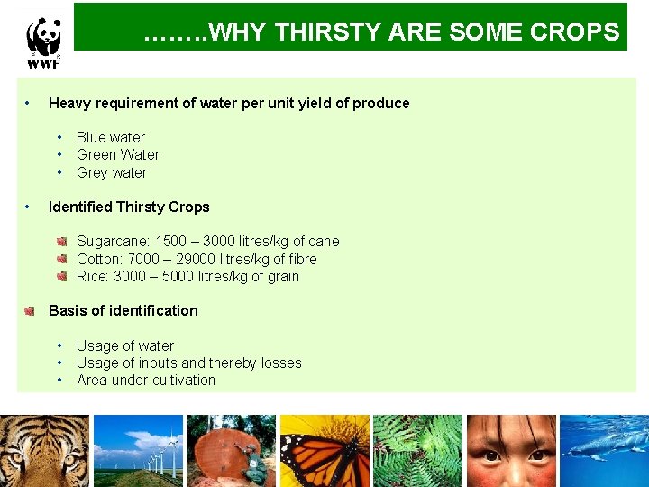 ……. . WHY THIRSTY ARE SOME CROPS • Heavy requirement of water per unit