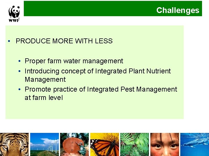 Challenges • PRODUCE MORE WITH LESS • Proper farm water management • Introducing concept