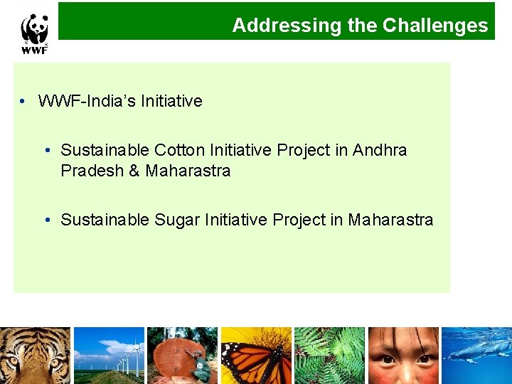 Addressing the Challenges • WWF-India’s Initiative • Sustainable Cotton Initiative Project in Andhra Pradesh