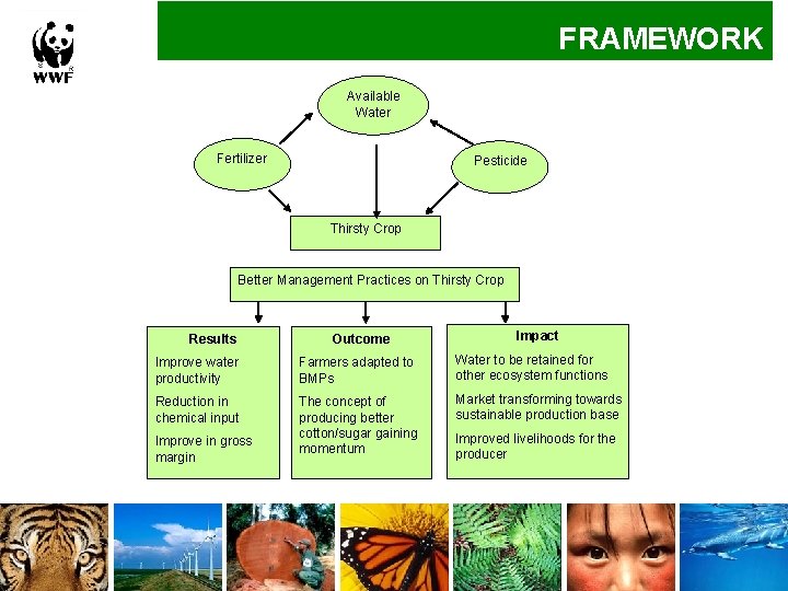 FRAMEWORK Available Water Fertilizer Pesticide Thirsty Crop Better Management Practices on Thirsty Crop Results