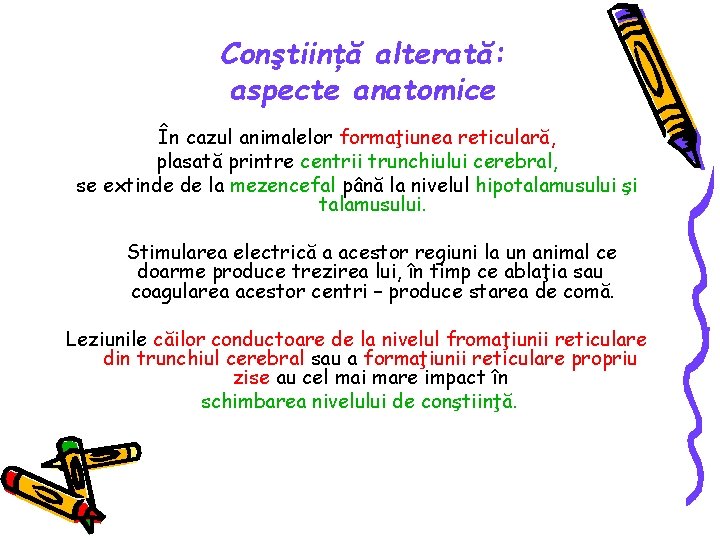 Conştiinţă alterată: aspecte anatomice În cazul animalelor formaţiunea reticulară, plasată printre centrii trunchiului cerebral,