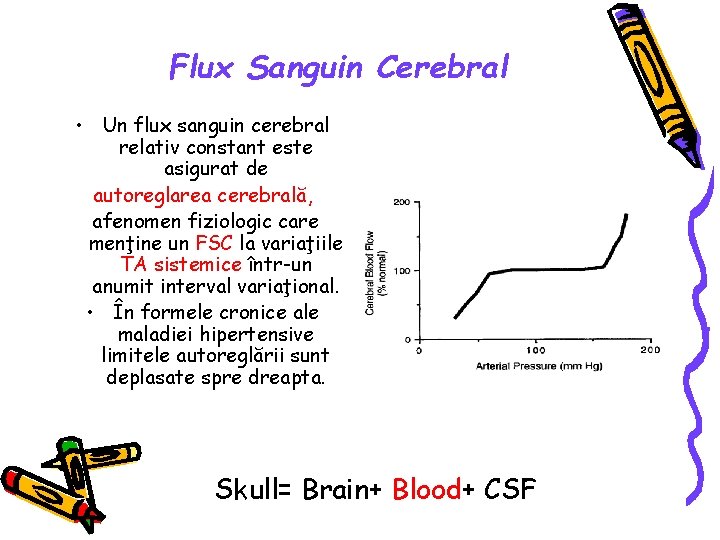 Flux Sanguin Cerebral • Un flux sanguin cerebral relativ constant este asigurat de autoreglarea