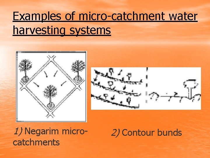 Examples of micro-catchment water harvesting systems 1) Negarim microcatchments 2) Contour bunds 