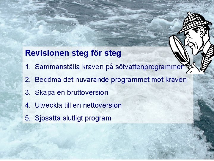 Revisionen steg för steg 1. Sammanställa kraven på sötvattenprogrammen 2. Bedöma det nuvarande programmet