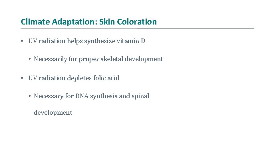 Climate Adaptation: Skin Coloration • UV radiation helps synthesize vitamin D • Necessarily for