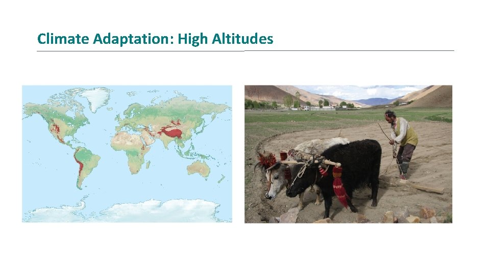 Climate Adaptation: High Altitudes 
