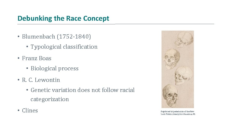 Debunking the Race Concept • Blumenbach (1752 -1840) • Typological classification • Franz Boas