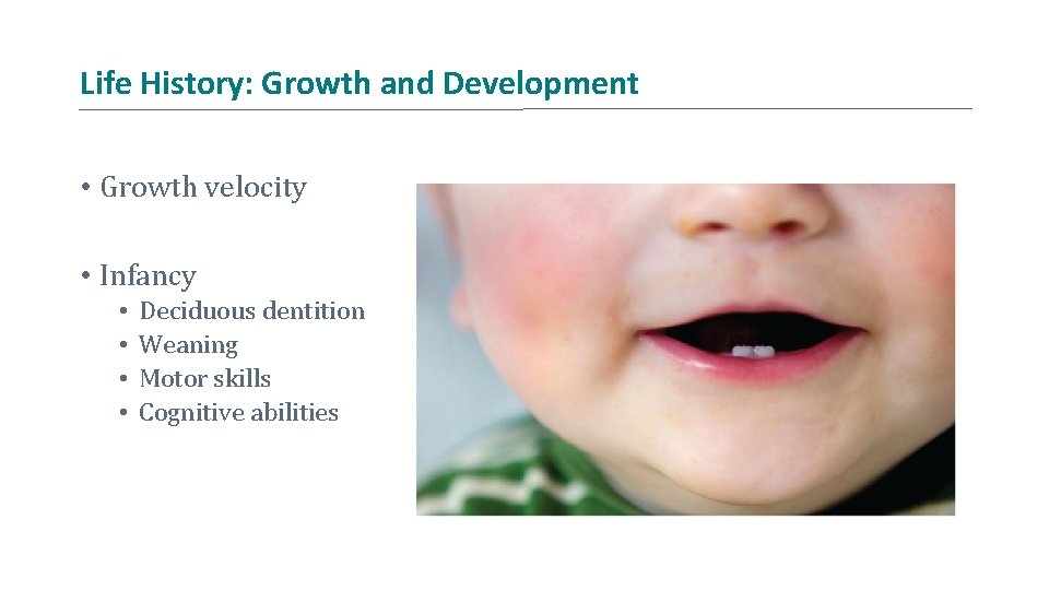 Life History: Growth and Development • Growth velocity • Infancy • • Deciduous dentition