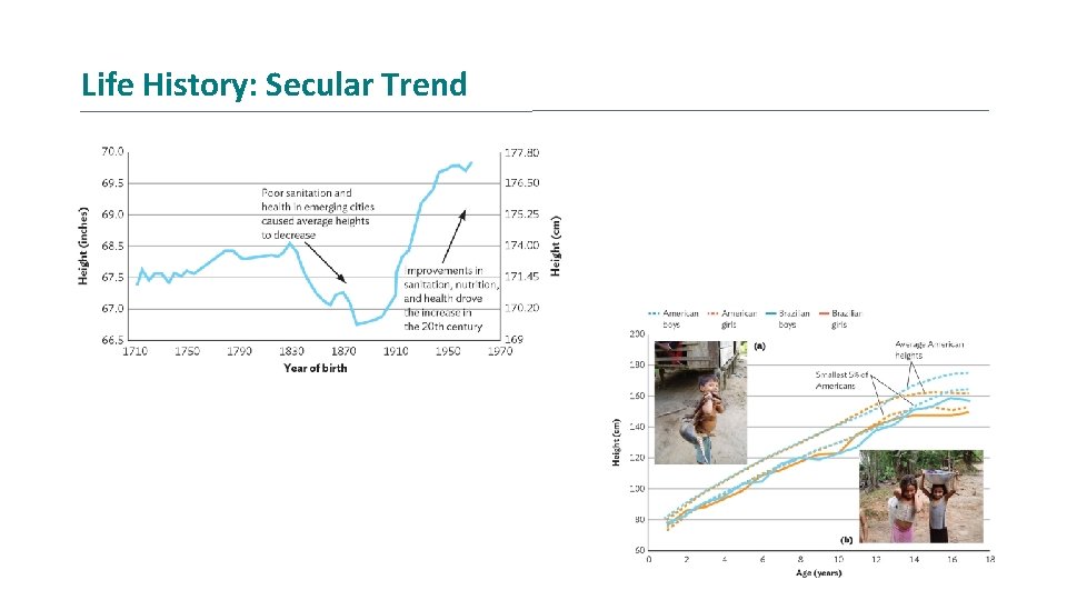 Life History: Secular Trend 