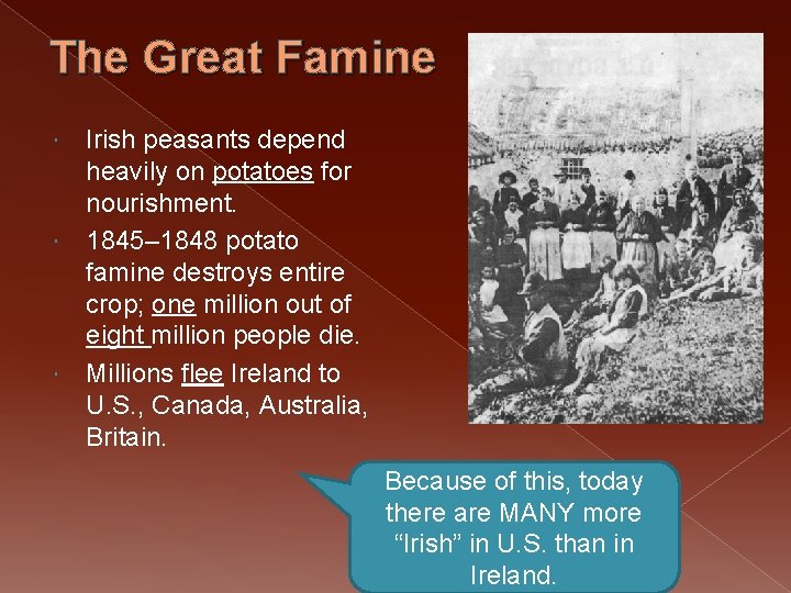 The Great Famine Irish peasants depend heavily on potatoes for nourishment. 1845– 1848 potato