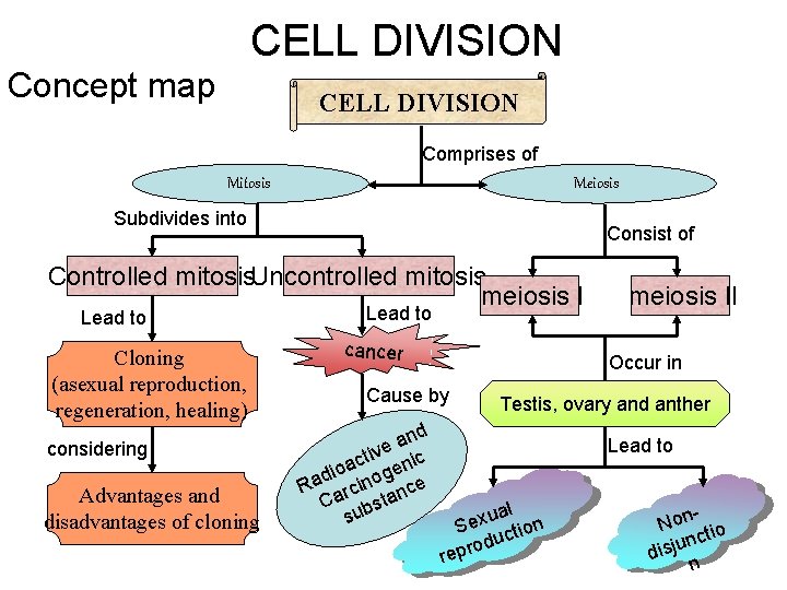 CELL DIVISION Concept map CELL DIVISION Comprises of Mitosis Meiosis Subdivides into Consist of