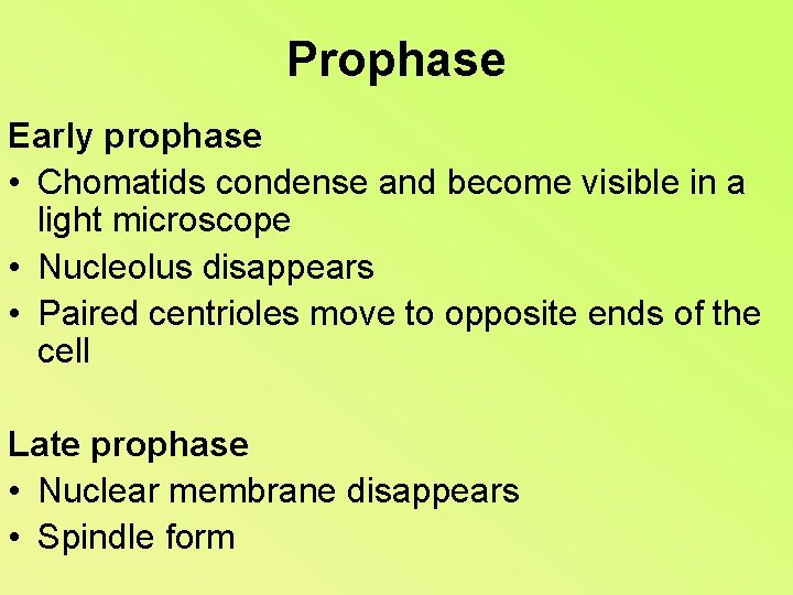 Prophase Early prophase • Chomatids condense and become visible in a light microscope •