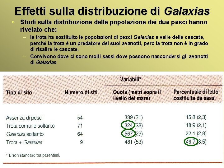 Effetti sulla distribuzione di Galaxias • Studi sulla distribuzione delle popolazione dei due pesci