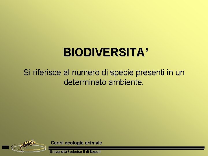 BIODIVERSITA’ Si riferisce al numero di specie presenti in un determinato ambiente. Cenni ecologia