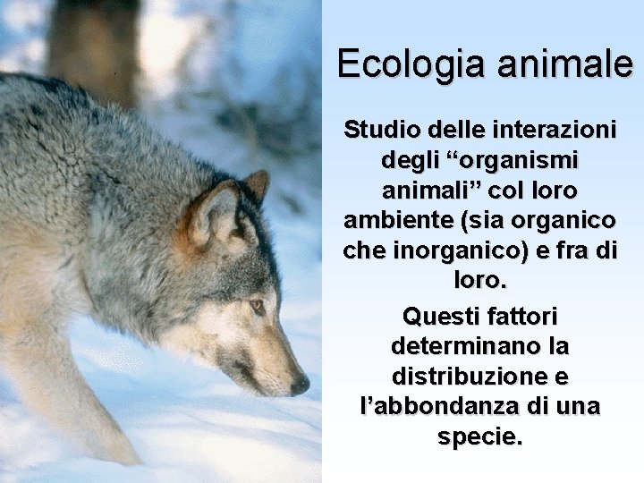 Ecologia animale Cenni ecologia animale Università Federico II di Napoli Studio delle interazioni degli