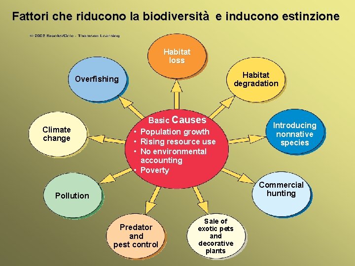 Fattori che riducono la biodiversità e inducono estinzione Habitat loss Habitat degradation Overfishing Climate